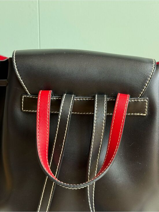 NWOT Frances Valentine Small Ann Backpack, Black Calfskin w/ Red Lining main image 5